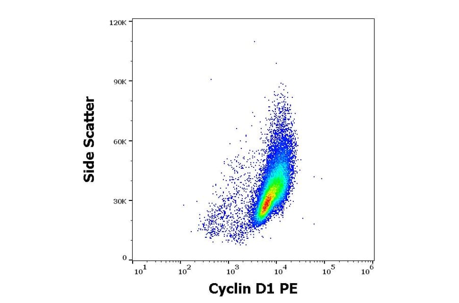 Flow Cytometry - Anti-Cyclin D1 Antibody [DCS-6] (PE) (A86872)