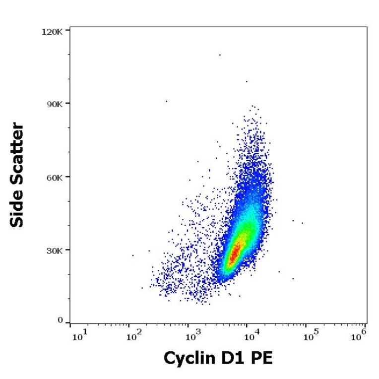 Flow Cytometry - Anti-Cyclin D1 Antibody [DCS-6] (PE) (A86872)