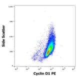 Flow Cytometry - Anti-Cyclin D1 Antibody [DCS-6] (PE) (A86872)