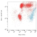 Flow Cytometry - Anti-PAC-1 Antibody [PAC-1] (FITC) (A86877)