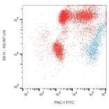 Flow Cytometry - Anti-PAC-1 Antibody [PAC-1] (FITC) (A86875) - Antibodies.com