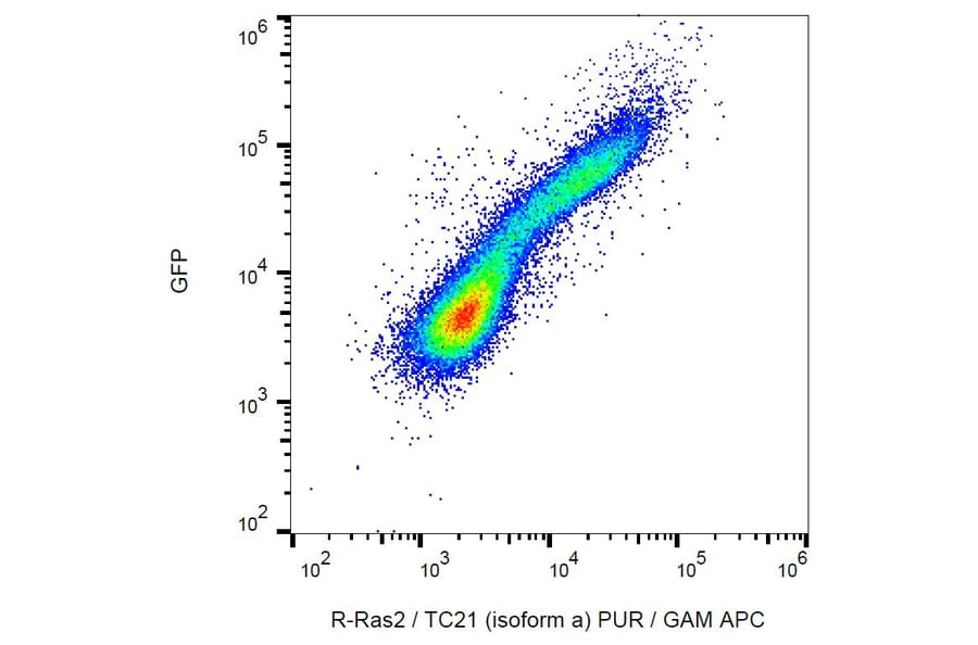 Flow Cytometry - Anti-RRAS2 Antibody [EM-50] (A86884) - Antibodies.com