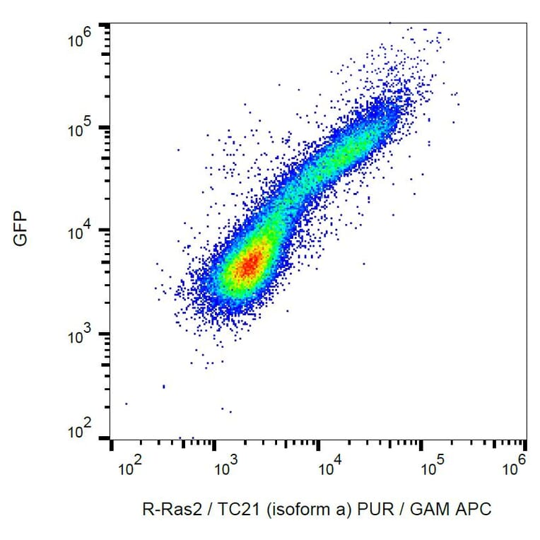 Flow Cytometry - Anti-RRAS2 Antibody [EM-50] (A86884) - Antibodies.com