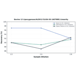 Linearity - Bovine 12 Lipoxygenase/ALOX12 ELISA Kit (A87080) - Antibodies.com