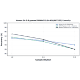 Linearity - Human 14-3-3 gamma/YWHAG ELISA Kit (A87122) - Antibodies.com