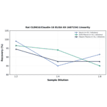 Linearity - Rat CLDN16/Claudin-16 ELISA Kit (A87154) - Antibodies.com
