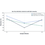 Linearity - Rat YKL-40/CHI3L1 ELISA Kit (A87199) - Antibodies.com