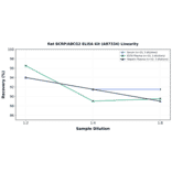 Linearity - Rat BCRP/ABCG2 ELISA Kit (A87334) - Antibodies.com