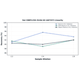 Linearity - Rat CNDP1/CN1 ELISA Kit (A87337) - Antibodies.com