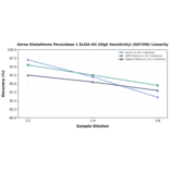 Linearity - Horse Glutathione Peroxidase 1 ELISA Kit (High Sensitivity) (A87356) - Antibodies.com