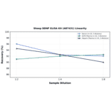 Linearity - Sheep BDNF ELISA Kit (A87431) - Antibodies.com