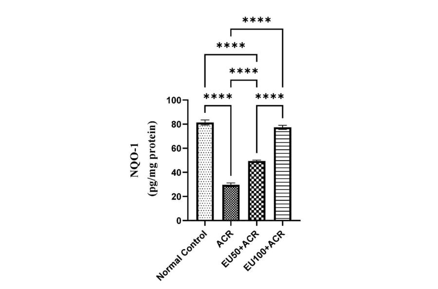 ELISA - Rat NQO1 ELISA Kit (A87472) - Antibodies.com
