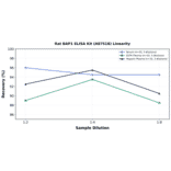 Linearity - Rat BAP1 ELISA Kit (A87518) - Antibodies.com