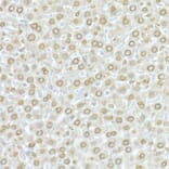 Immunohistochemistry - Anti-Lamin A Antibody (A91083) - Antibodies.com