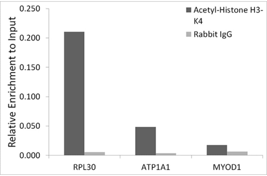 Chromatin Immunoprecipitation - Anti-Histone H3 (acetyl Lys4) Antibody (A91515) - Antibodies.com