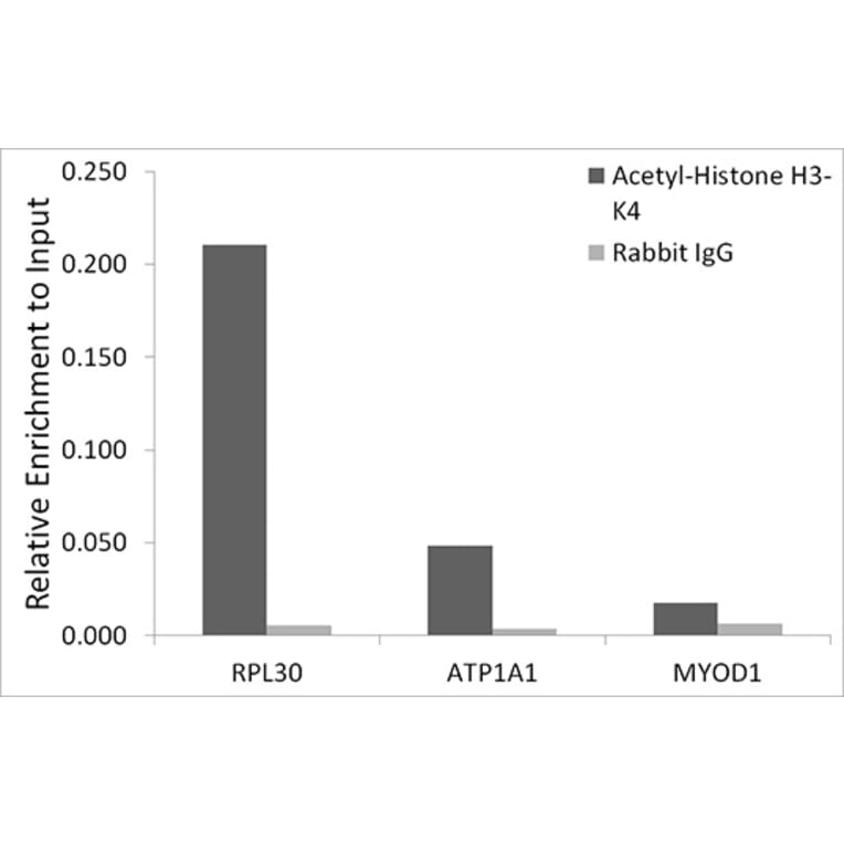 Chromatin Immunoprecipitation - Anti-Histone H3 (acetyl Lys4) Antibody (A91515) - Antibodies.com