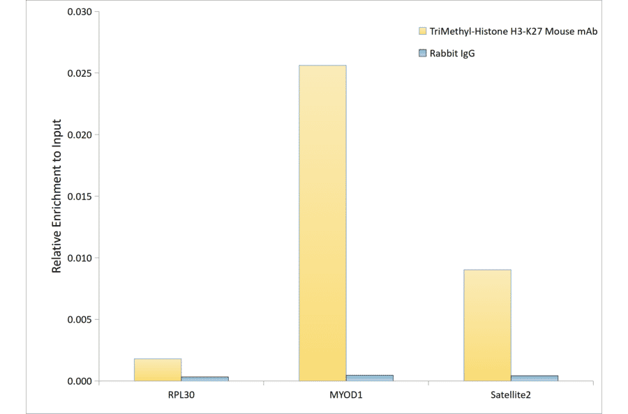 ChImmunoprecipitation - Anti-Histone H3 Antibody [AMC0015] (A91520) - Antibodies.com