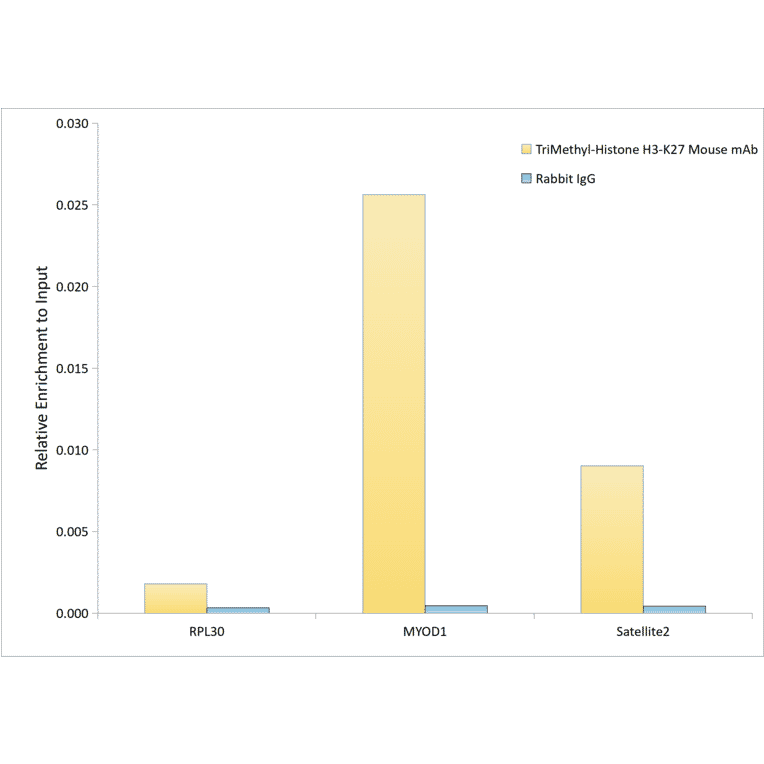 ChImmunoprecipitation - Anti-Histone H3 Antibody [AMC0015] (A91520) - Antibodies.com