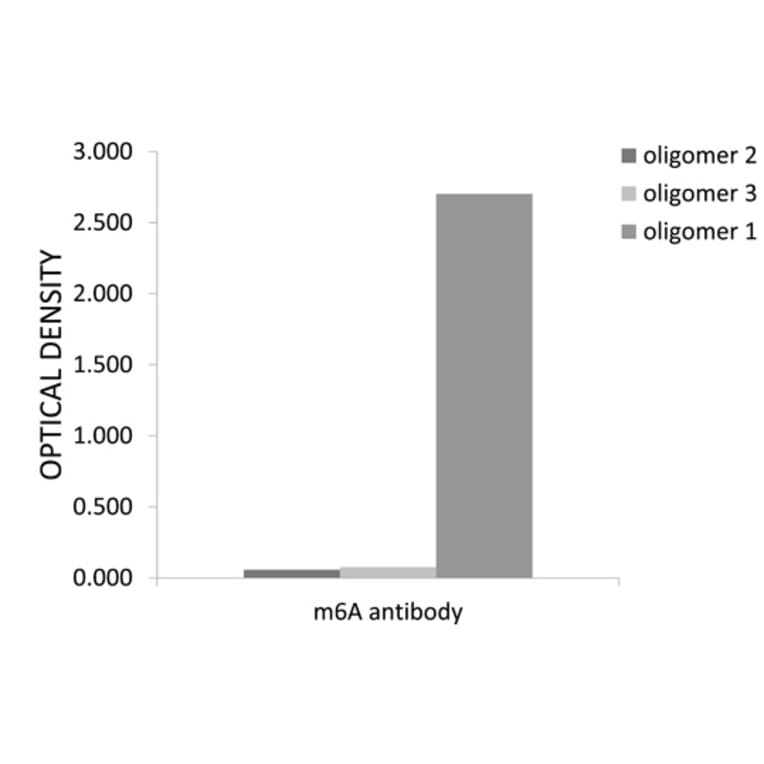 Nucleotide Array - Anti-N6-Methyladenosine Antibody (A91811) - Antibodies.com