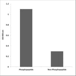 ELISA - Anti-Retinoblastoma (phospho Thr826) Antibody (P12-1170) - Antibodies.com