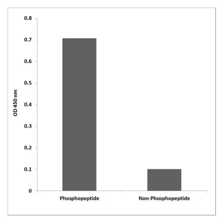 ELISA - Anti-MAP2K7 (phospho Thr275) Antibody (P12-1140) - Antibodies.com