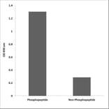 ELISA - Anti-Lamin A (phospho Ser22) Antibody (P12-1133) - Antibodies.com