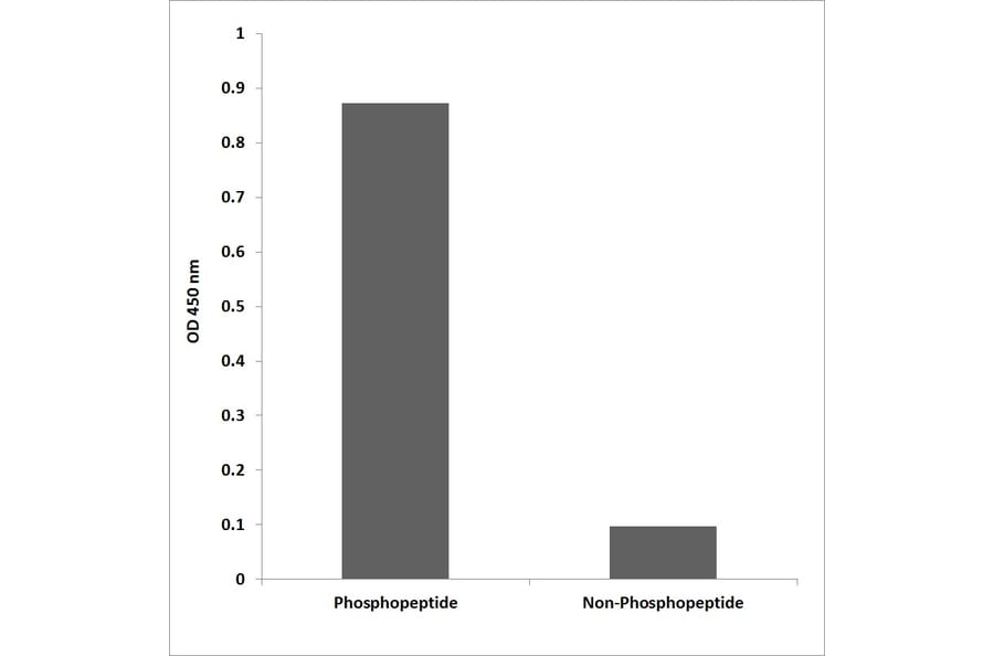 ELISA - Anti-Trk A (phospho Tyr680+Tyr681) Antibody (P12-1061) - Antibodies.com