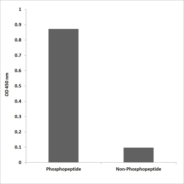 ELISA - Anti-Trk A (phospho Tyr680+Tyr681) Antibody (P12-1061) - Antibodies.com