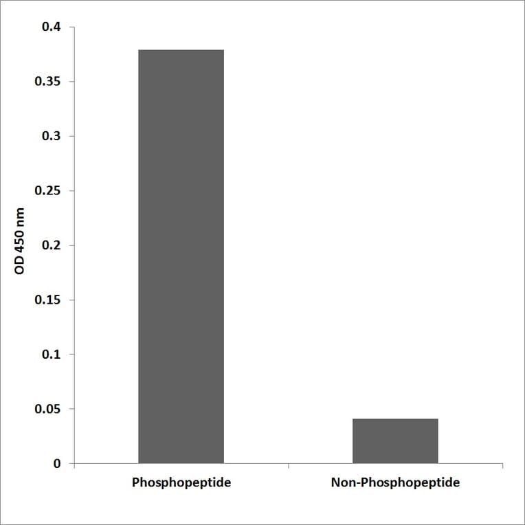 ELISA - Anti-Trk A (phospho Tyr680+Tyr681) Antibody (P12-1193) - Antibodies.com