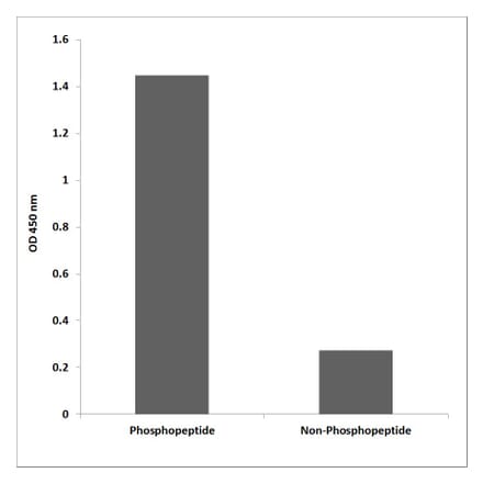 ELISA - Anti-ITGB1 (phospho Tyr795) Antibody (P12-1127) - Antibodies.com
