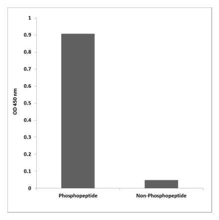 ELISA - Anti-IRS-1 (phospho Tyr896) Antibody (P12-1030) - Antibodies.com