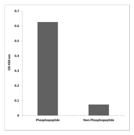 ELISA - Anti-IRF-3 (phospho Ser396) Antibody (P12-1124) - Antibodies.com