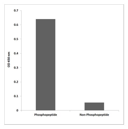 ELISA - Anti-c-Fos (phospho Thr325) Antibody (P12-1015) - Antibodies.com