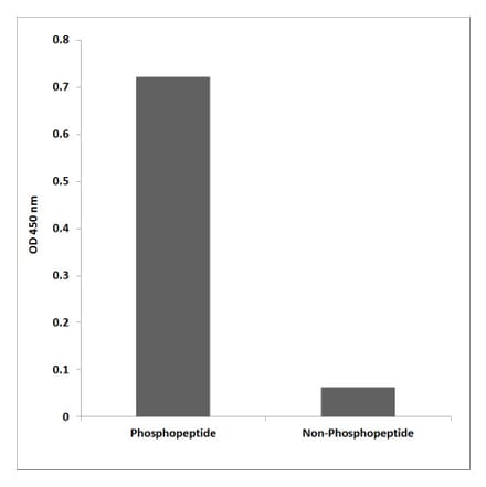 ELISA - Anti-MAP2K7 (phospho Ser271) Antibody (P12-1139) - Antibodies.com