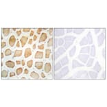Immunohistochemistry - Anti-alpha Actinin 2 + 3 Antibody (C10558) - Antibodies.com