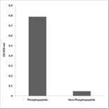 ELISA - Anti-WEE1 (phospho Ser642) Antibody (P12-1198) - Antibodies.com