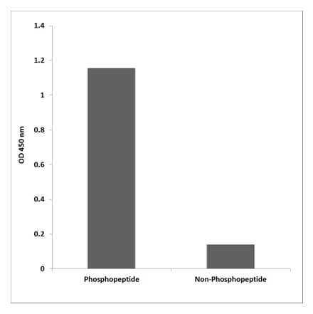 ELISA - Anti-PKD2 (phospho Ser876) Antibody (P12-1046) - Antibodies.com