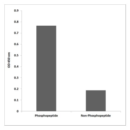 ELISA - Anti-JAK2 (phospho Tyr570) Antibody (P12-1128) - Antibodies.com