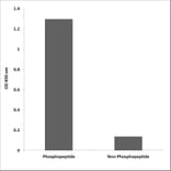 ELISA - Anti-AML1 (phospho Ser435) Antibody (P12-1075) - Antibodies.com