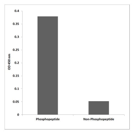 ELISA - Anti-Src (phospho Tyr216) Antibody (P12-1180) - Antibodies.com