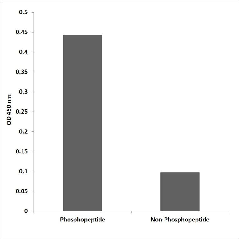 ELISA - Anti-PKCD (phospho Tyr64) Antibody (P12-1167) - Antibodies.com