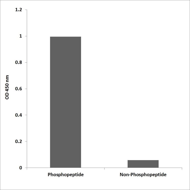 ELISA - Anti-LAT (phospho Tyr220) Antibody (P12-1031) - Antibodies.com