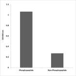 ELISA - Anti-ICK (phospho Tyr159) Antibody (P12-1118) - Antibodies.com