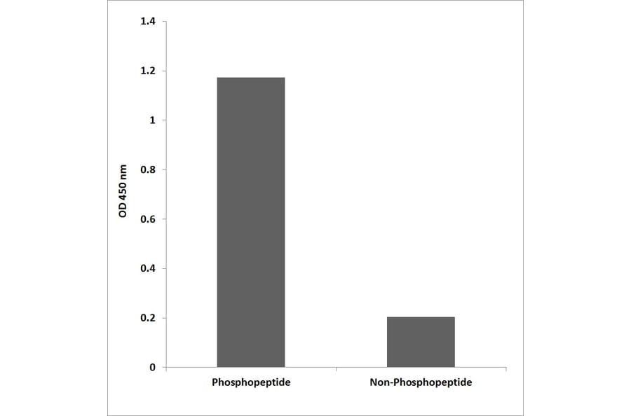 ELISA - Anti-EPB41 (phospho Tyr660 + Tyr418) Antibody (P12-1101) - Antibodies.com