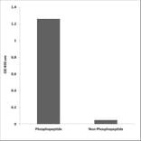 ELISA - Anti-SAPK (phospho Tyr185) Antibody (P12-1175) - Antibodies.com