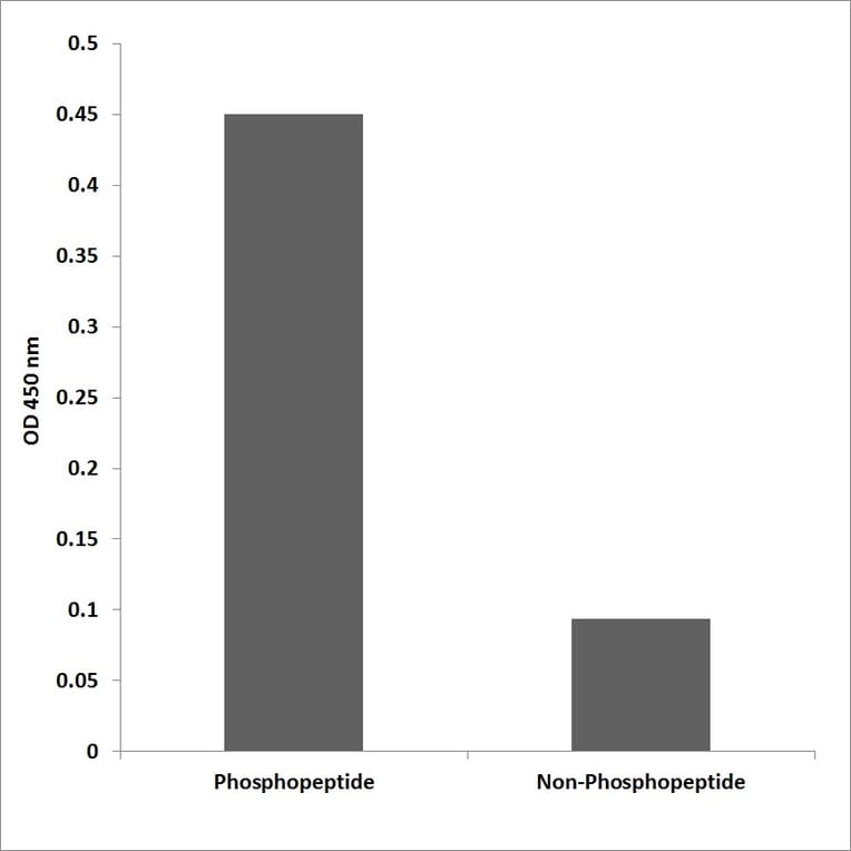 ELISA - Anti-PKD1 (phospho Ser910) Antibody (P12-1045) - Antibodies.com