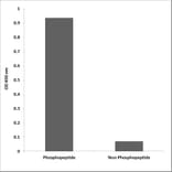 ELISA - Anti-Mnk1 (phospho Thr385) Antibody (P12-1150) - Antibodies.com