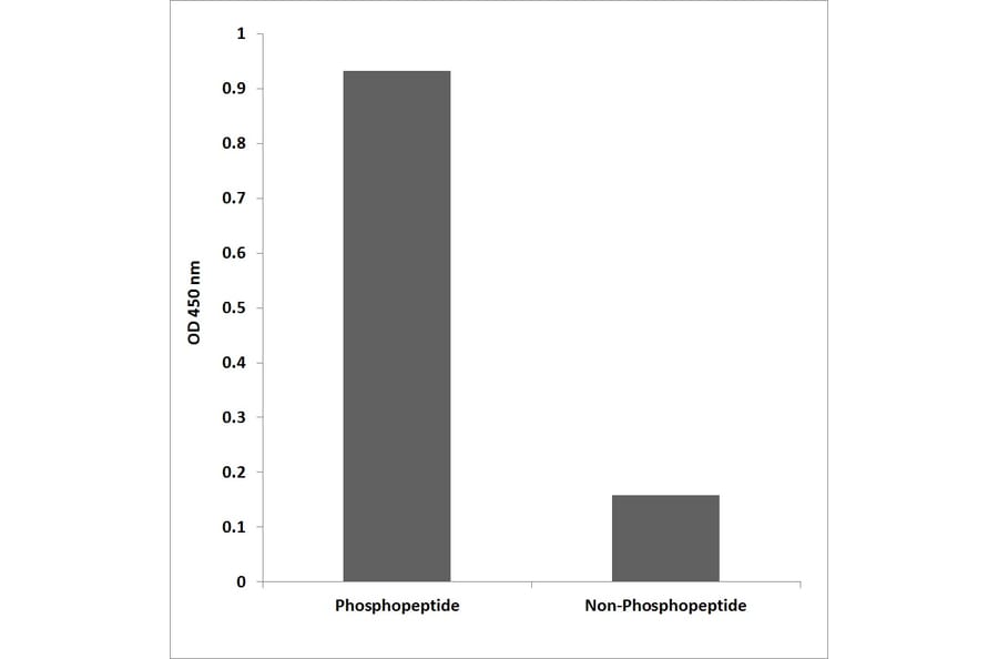 ELISA - Anti-JAK2 (phospho Tyr931) Antibody (P12-1129) - Antibodies.com
