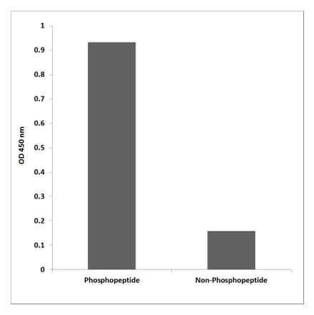 ELISA - Anti-JAK2 (phospho Tyr931) Antibody (P12-1129) - Antibodies.com