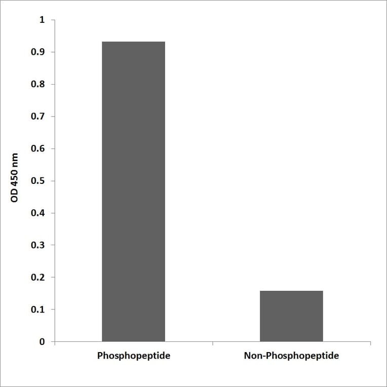 ELISA - Anti-JAK2 (phospho Tyr931) Antibody (P12-1129) - Antibodies.com